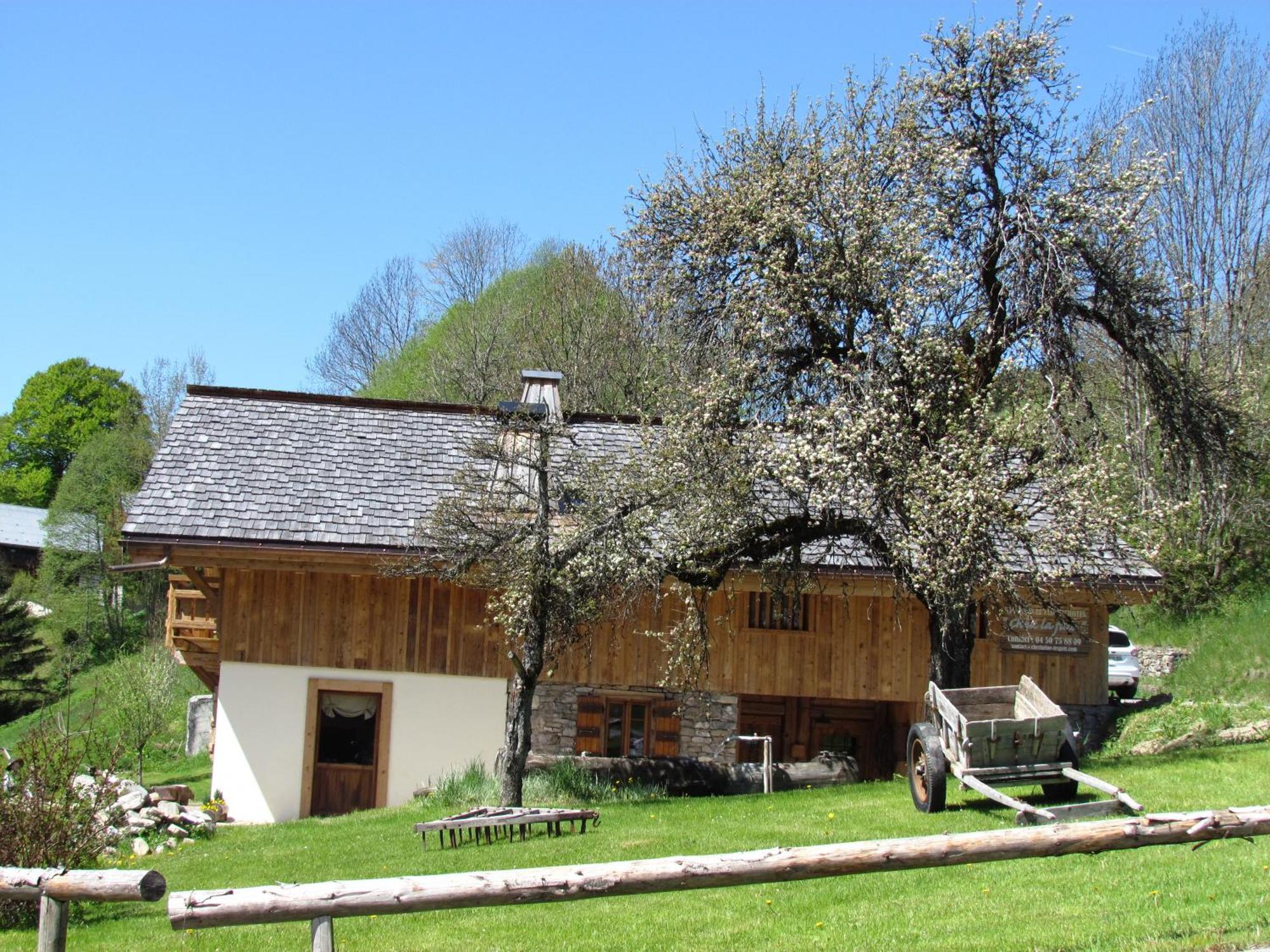 Chez La Fine Bed & Breakfast Les Gets Bagian luar foto
